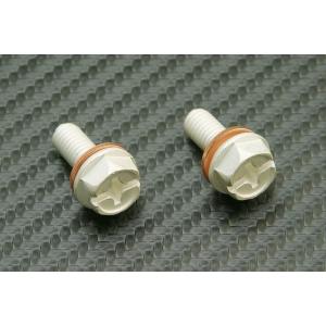 アーシングヘルパー　バッテリーターミナル　M6 P1.0