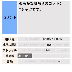 ロンT 長袖Tシャツ メンズ ブランド アディ...の詳細画像4