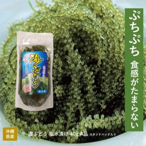海ぶどう 海ブドウ 塩水漬け 40g A品 スタンドパック入り