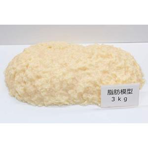 脂肪サンプル 脂肪模型 食品サンプル 実物重量 ダイエット