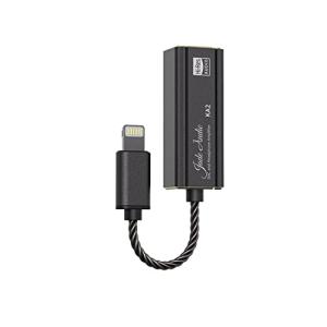 「かわいい～！」 スティック Lightning KA2 FiiO DAC DAコンバータ iPad iPhone スマホアクセサリー