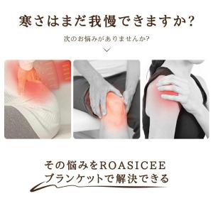 爆買 【正規品】電気毛布 掛け敷き USB/D...の詳細画像2