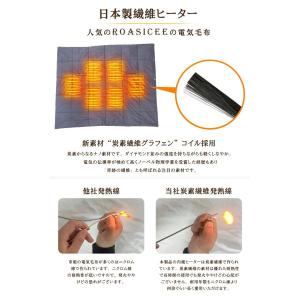 爆買 【正規品】電気毛布 掛け敷き USB/D...の詳細画像5