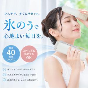 【40時間保冷】氷嚢 氷のう 魔法瓶 氷のうボ...の詳細画像1