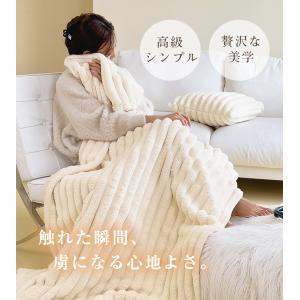 毛布 シングル もこもこ毛布 シングル セミダ...の詳細画像1