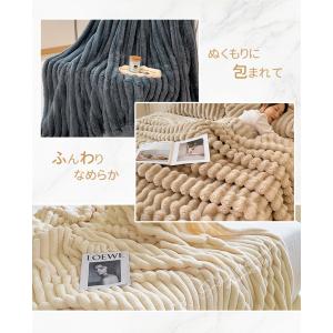 毛布 シングル もこもこ毛布 シングル セミダ...の詳細画像2