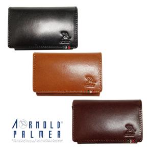 AP3310 アーノルドパーマー　イタリーレザー名刺・カードケース 本革 メンズ ブランド おしゃれ 人気 おすすめ 20代 30代 40代 50代 色 プレゼント ランキング