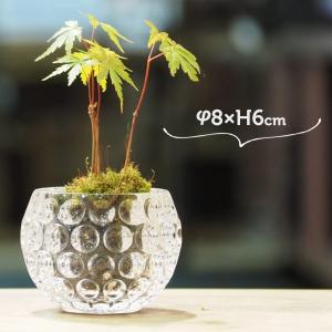 ホルムガード ガラスポットH16cm レザーハンドル付き 小物入れや