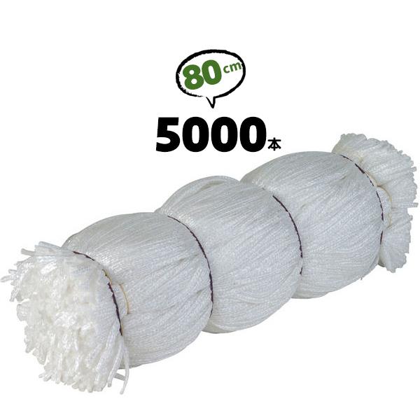 シート紐 シートヒモ 80cm 5000本 白 シートひも ロープ 足場 結束 結ぶ 固定 園芸 建...