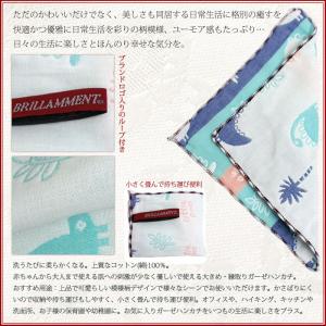 [ブリラメント] BRILLAMMENT ガー...の詳細画像2