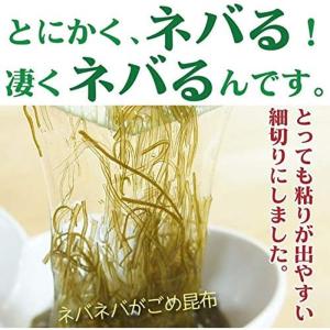 がごめ昆布 細切り 刻み昆布 40g×4個 函...の詳細画像2