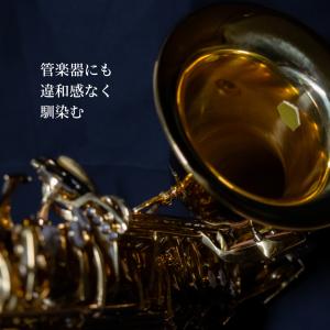 音質改善 アドパワーソニック(六角形タイプ) ...の詳細画像2