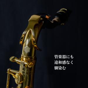 音質改善 アドパワーソニックヘキサゴン SSサ...の詳細画像2