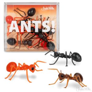 アーチーマクフィー アクータメンツ アンツ フィギュア 6個セット 置物 オブジェ 模型 ありアリ 蟻 ANT おしゃれ かわいい おもしろ｜ads-express