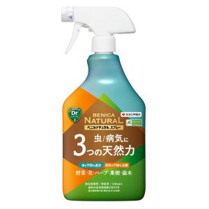 最安値挑戦中 トキタ ガッチリくん ねぎ用 50L 培土 ネギ ニラ