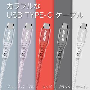 USB4 Gen3 レッド パステルカラー A...の詳細画像4
