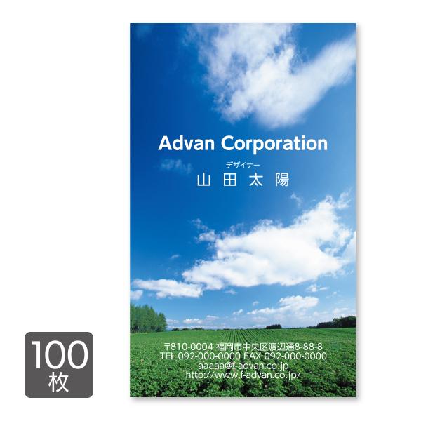 名刺 印刷 作成 ショップカード カラー100枚 テンプレートで簡単作成 空と大地 写真 初めてでも...