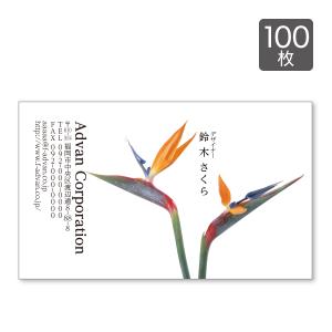 名刺 印刷 作成 ショップカード カラー100枚 テンプレートで簡単作成 花 個性的 初めての作成でも安心 card-122｜advan-printing