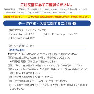 名刺 印刷 両面 データ入稿 表面カラー+裏面...の詳細画像1