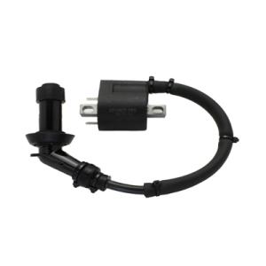 アドバンス・プロ シグナスＸ 強化点火コイル IGC-TY01