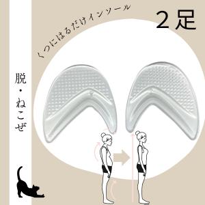 インソール 姿勢矯正 ※変色のためSALE!! 2足セット 美脚改善 中敷き 立ち仕事 疲れ 驚きの美姿勢 レディース ゆがみ 歪み改善 パンプス/サンダル用 さとう式｜advancedbase