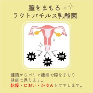 オンプ 潤滑ゼリー 女性用 ラクトバチルス乳酸...の詳細画像5