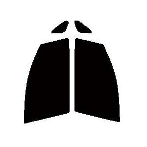 切売 切り売り スパッタシルバー70 1m×3m : アドバンスフィルム