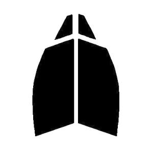 ゴースト2 ネオ オーロラ79　運転席、助手席　C-HR　ZYX10・NGX10・NGX50　前期 ...