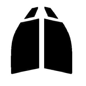 スパッタゴールド80 運転席・助手席 N-WGN JH1・JH2 カット済みカー