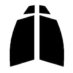 スパッタゴールド60 運転席・助手席 トヨタ マークX X13# カット済み