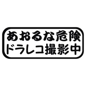 ステッカー あおるな危険 ドラレコ撮影中 選べる10色 縦6ｃｍ×横16ｃｍ 事故防止 安全なドライブの為に 煽り防止 交通安全お守り カッティングステッカー