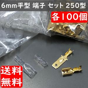6mm 平型ギボシ ヒラ型端子 ファストン端子 250型 セット オス100個 メス100個 ギボシ用絶縁スリーブ 各100個 合計400個セット