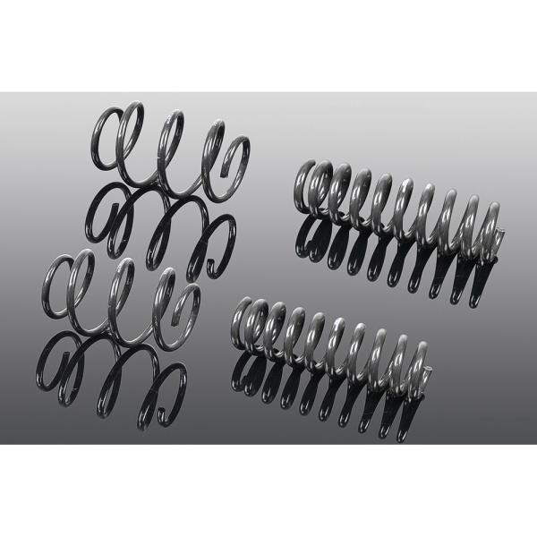 MINI F66 CooperC /CooperS / JCW AC Schnitzer スプリング...