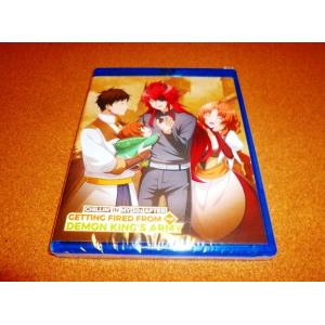 【並行輸入品】新品BD　解雇された暗黒兵士（30代）のスローなセカンドライフ　全12話BOXセット　...