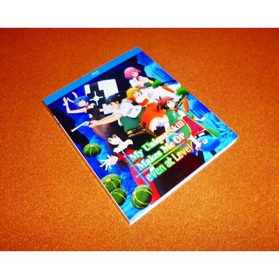 【並行輸入品】新品BD　レベル1だけどユニークスキルで最強です　全12話BOXセット　北米版