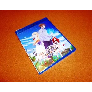 とんでもスキルで異世界放浪メシ 初回限定盤 Blu-ray 全巻セット とんでもスキルで異世界放浪メシ 1期 Blu-ray 2023年4月～6月 発売中