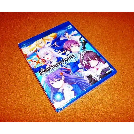 【並行輸入品】未使用BD　聖剣学院の魔剣使い　全12話BOXセット　開封品　北米版
