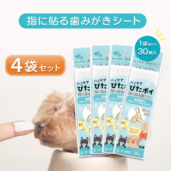 オクチブラシ ぴたポイ 30枚入 4個 KPS