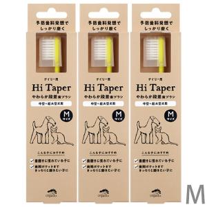 ドクターワンデル & カンデル セット カンデル賞味期限2027年8月