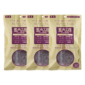 馬肉五膳 プレミアム 200g 2個 セット 賞味期限2026年10月28日