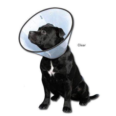 在庫処分 ベットカラー S ファンタジーワールド