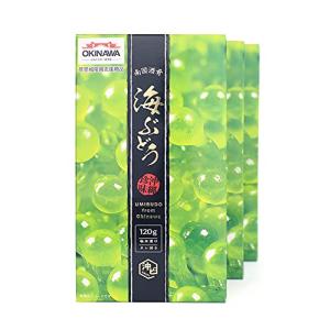 沖ピ 特選A品 海ぶどう 100％沖縄県産 専用シークヮーサータレ付き