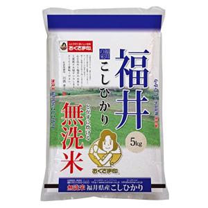 【精米】 福井県 無洗米 コシヒカリ 5kgの商品画像