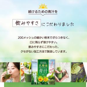 鹿児島県産 乳酸菌 国産青汁 21包 3週間分...の詳細画像2