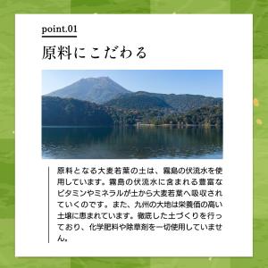 鹿児島県産 乳酸菌 国産青汁 21包 3週間分...の詳細画像4
