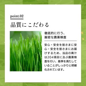 鹿児島県産 乳酸菌青汁 63包 9週間分(18...の詳細画像5