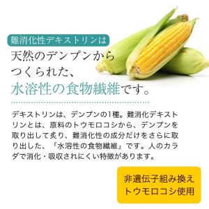 難消化性デキストリン 700g 食物繊維 デキ...の詳細画像2