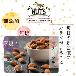 アーモンド 850g 素焼き 無塩 無添加 ノ...の詳細画像1