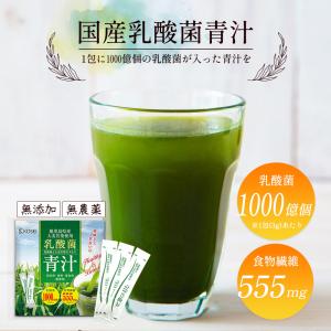 国産 青汁 乳酸菌青汁 378g(3g×126...の詳細画像1
