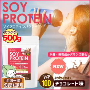 （  ソイプロテイン チョコレート味 500g  ） ≪スプーン付≫ プロテイン 美容 ダイエット 大豆 スポーツ 大容量 アミノ酸 送料無料 ギフト